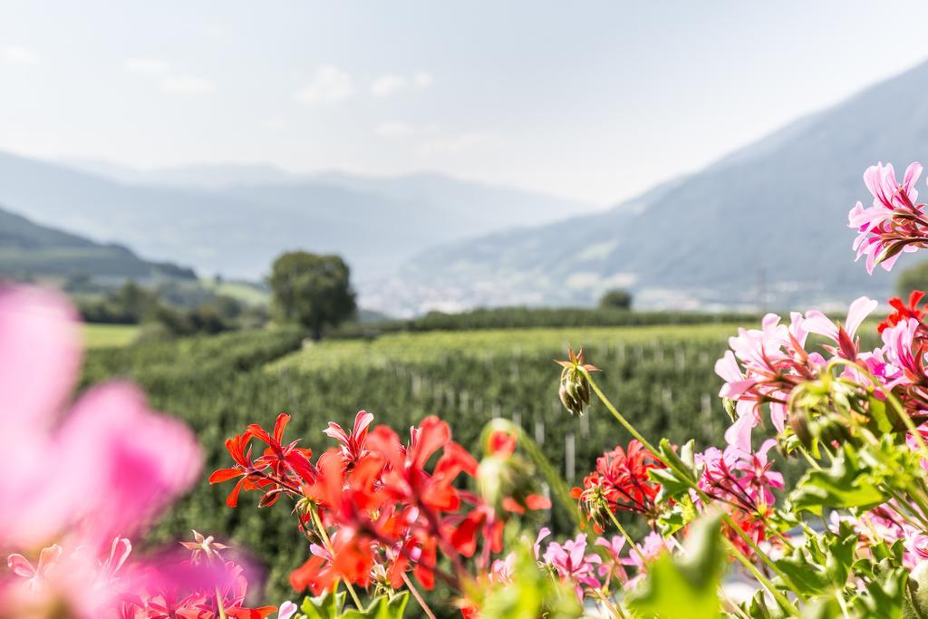 Tirolerhof Pension Natz-Schabs Exteriör bild